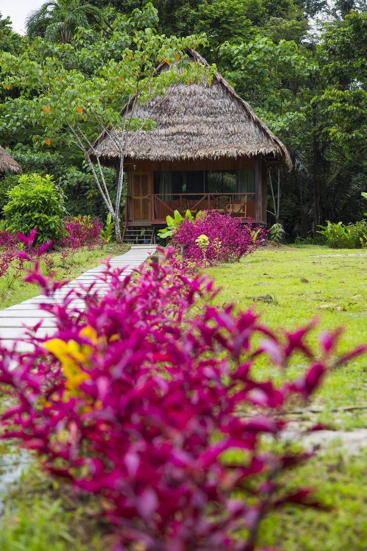 Curaka Lodge Expedition Iquitos Luaran gambar